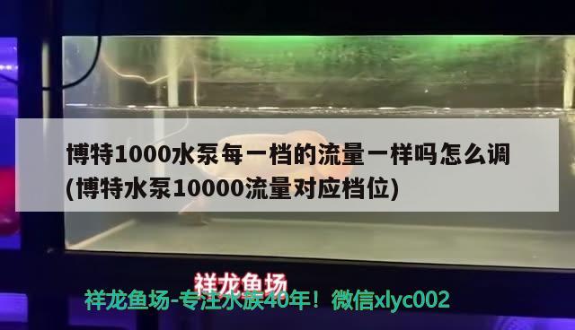 博特1000水泵每一档的流量一样吗怎么调(博特水泵10000流量对应档位) 博特水族