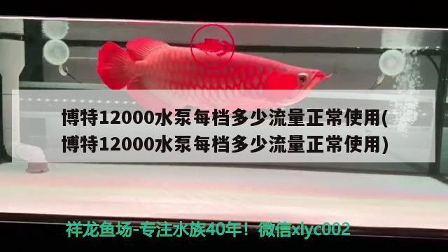 博特12000水泵每档多少流量正常使用(博特12000水泵每档多少流量正常使用) 博特水族