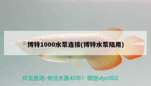 博特1000水泵连接(博特水泵陆用) 博特水族