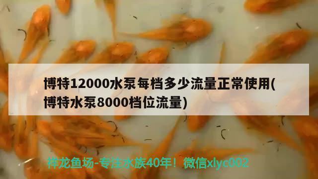 博特12000水泵每档多少流量正常使用(博特水泵8000档位流量)