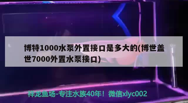 博特1000水泵外置接口是多大的(博世盖世7000外置水泵接口) 博特水族