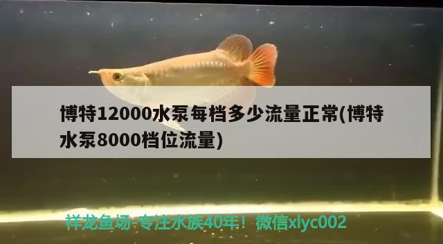 博特12000水泵每档多少流量正常(博特水泵8000档位流量)