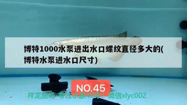 博特1000水泵进出水口螺纹直径多大的(博特水泵进水口尺寸) 博特水族