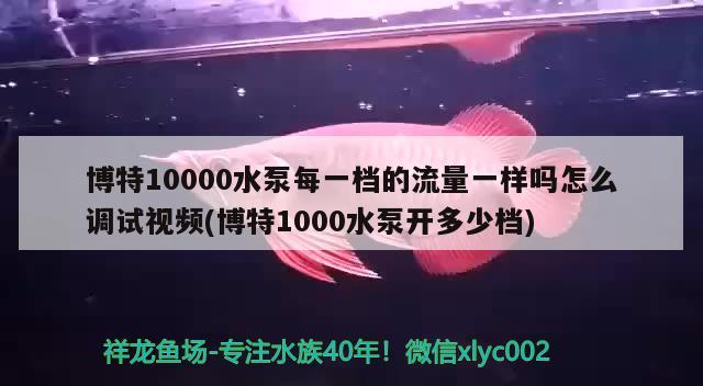 博特10000水泵每一档的流量一样吗怎么调试视频(博特1000水泵开多少档)