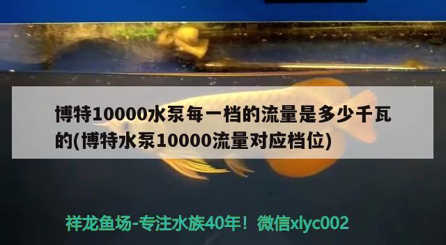 博特10000水泵每一档的流量是多少千瓦的(博特水泵10000流量对应档位)