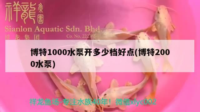 博特1000水泵开多少档好点(博特2000水泵)