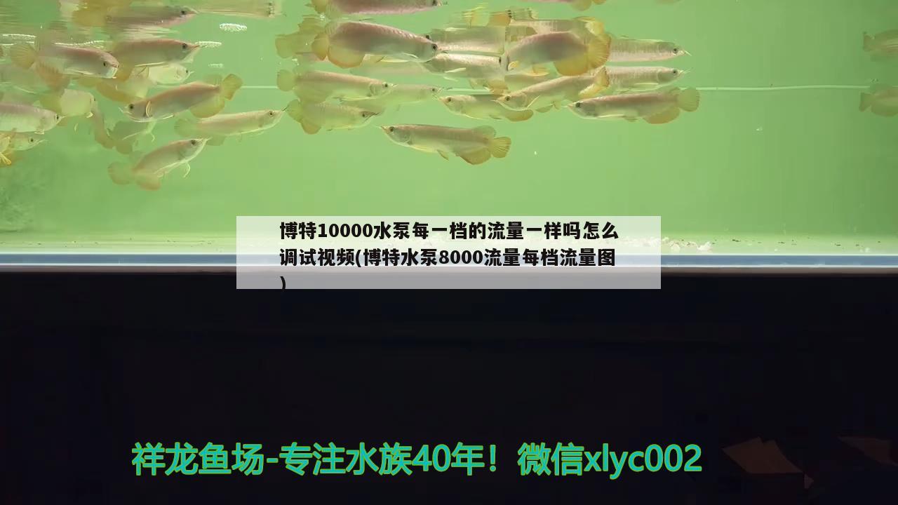 博特10000水泵每一档的流量一样吗怎么调试视频(博特水泵8000流量每档流量图)