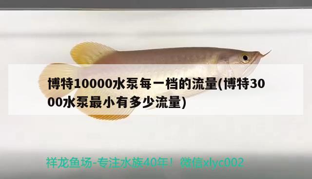 博特10000水泵每一档的流量(博特3000水泵最小有多少流量)