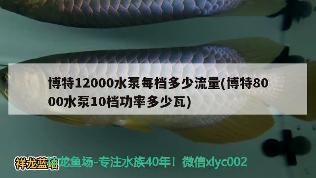 博特12000水泵每档多少流量(博特8000水泵10档功率多少瓦) 博特水族 第2张