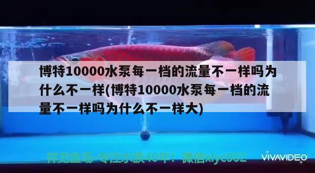 博特10000水泵每一档的流量不一样吗为什么不一样(博特10000水泵每一档的流量不一样吗为什么不一样大)