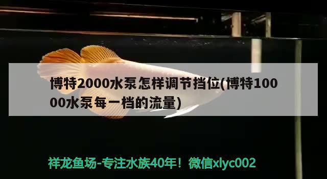 博特2000水泵怎样调节挡位(博特10000水泵每一档的流量)