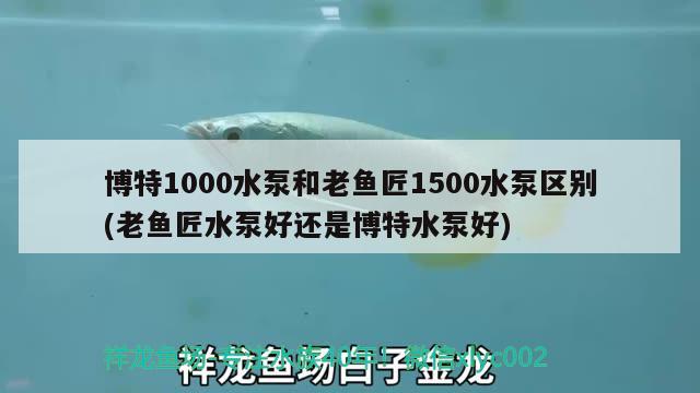 博特1000水泵和老鱼匠1500水泵区别(老鱼匠水泵好还是博特水泵好) 博特水族