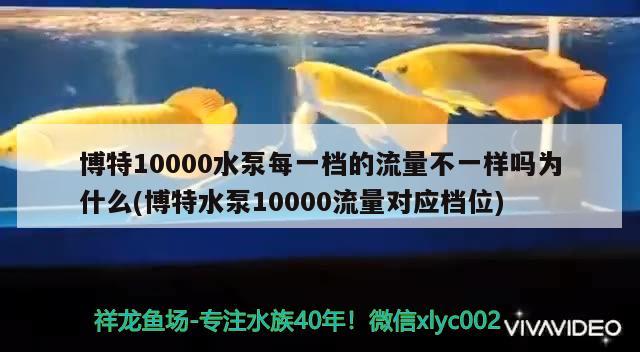 博特10000水泵每一档的流量不一样吗为什么(博特水泵10000流量对应档位)