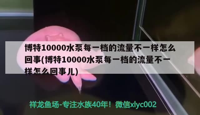 博特10000水泵每一档的流量不一样怎么回事(博特10000水泵每一档的流量不一样怎么回事儿)