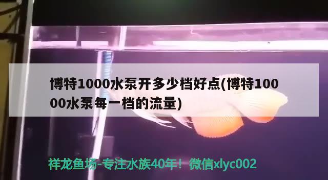 博特1000水泵开多少档好点(博特10000水泵每一档的流量)