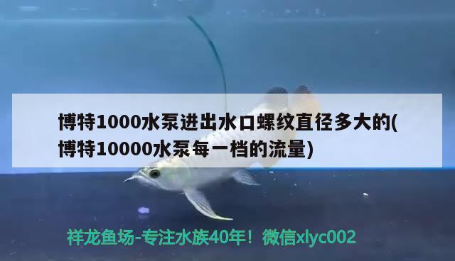 博特1000水泵进出水口螺纹直径多大的(博特10000水泵每一档的流量)