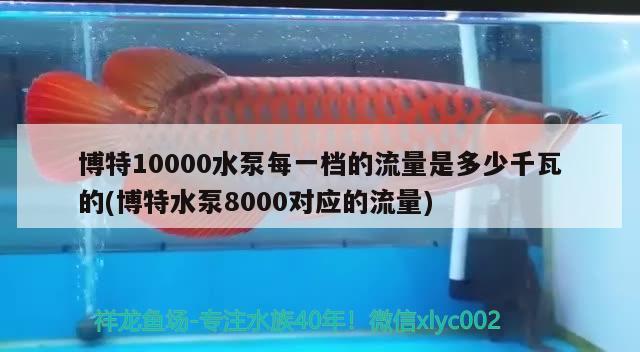 博特10000水泵每一档的流量是多少千瓦的(博特水泵8000对应的流量)