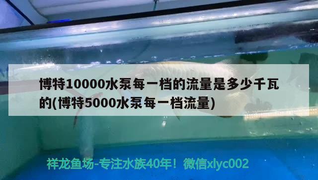 博特10000水泵每一档的流量是多少千瓦的(博特5000水泵每一档流量)