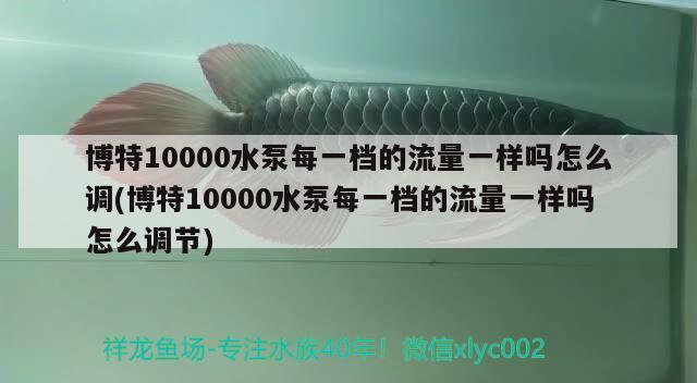 博特10000水泵每一档的流量一样吗怎么调(博特10000水泵每一档的流量一样吗怎么调节) 博特水族