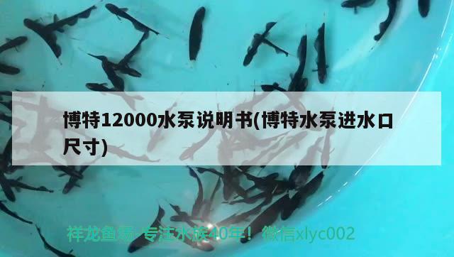 博特12000水泵说明书(博特水泵进水口尺寸)