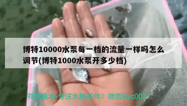 博特10000水泵每一档的流量一样吗怎么调节(博特1000水泵开多少档)