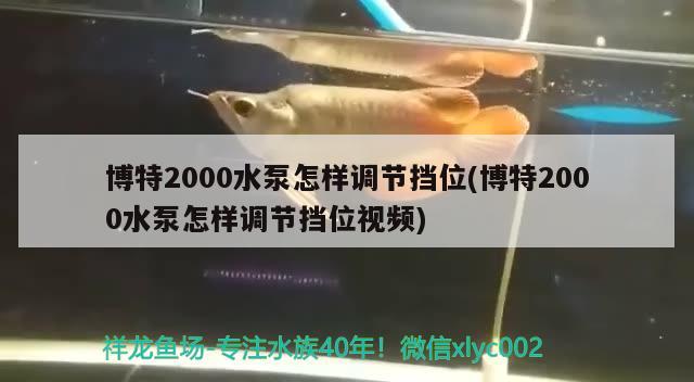 博特2000水泵怎样调节挡位(博特2000水泵怎样调节挡位视频)