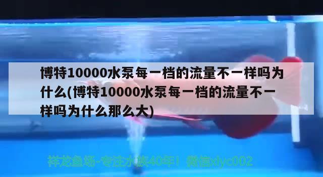 博特10000水泵每一档的流量不一样吗为什么(博特10000水泵每一档的流量不一样吗为什么那么大)