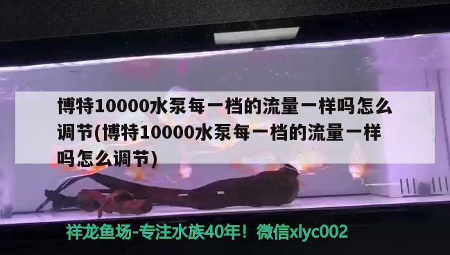 博特10000水泵每一档的流量一样吗怎么调节(博特10000水泵每一档的流量一样吗怎么调节)