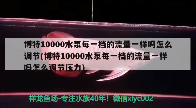 博特10000水泵每一档的流量一样吗怎么调节(博特10000水泵每一档的流量一样吗怎么调节压力)