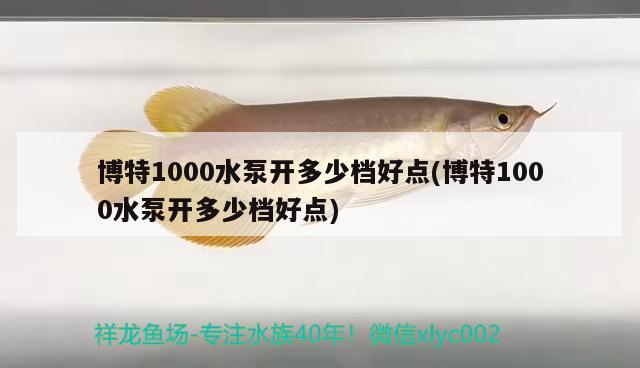 博特1000水泵开多少档好点(博特1000水泵开多少档好点)