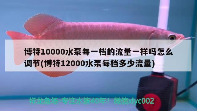 博特10000水泵每一档的流量一样吗怎么调节(博特12000水泵每档多少流量)