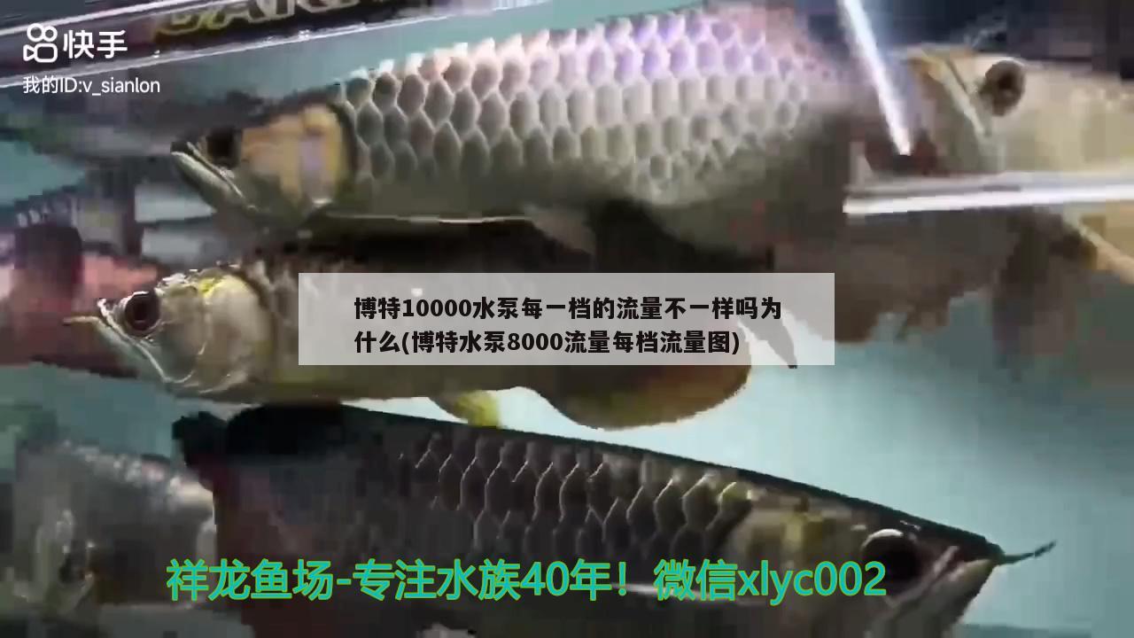 博特10000水泵每一档的流量不一样吗为什么(博特水泵8000流量每档流量图)