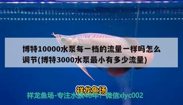 博特10000水泵每一档的流量一样吗怎么调节(博特3000水泵最小有多少流量)