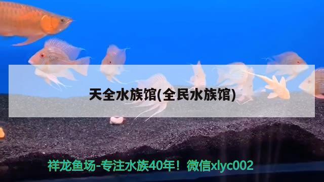 天全水族馆(全民水族馆)