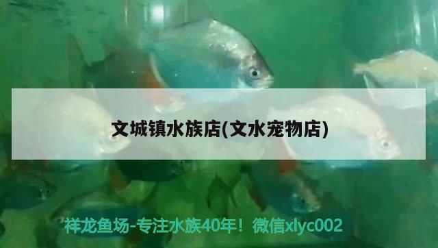 文城镇水族店(文水宠物店) 水族杂谈