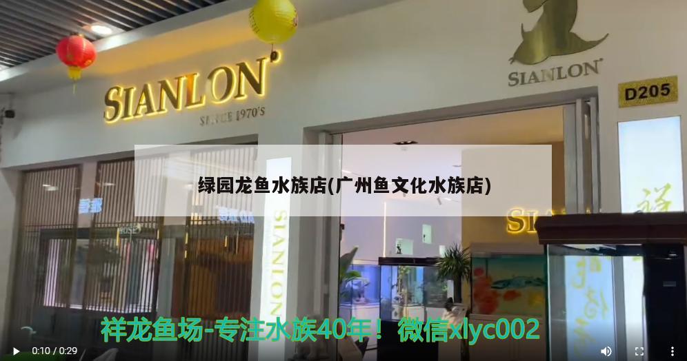 绿园龙鱼水族店(广州鱼文化水族店) 虎斑恐龙鱼