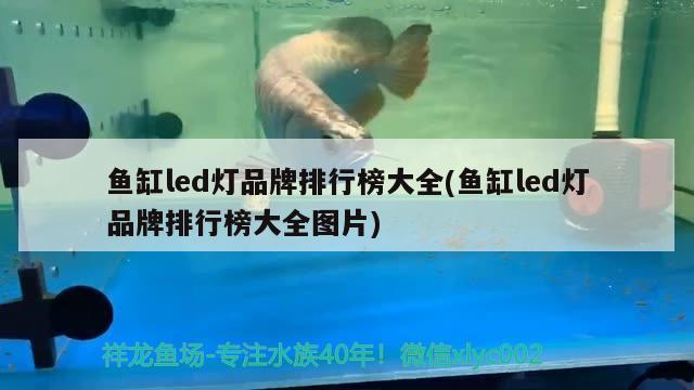 鱼缸led灯品牌排行榜大全(鱼缸led灯品牌排行榜大全图片) 鱼缸清洁用具