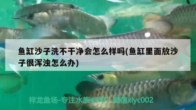 鱼缸沙子洗不干净会怎么样吗(鱼缸里面放沙子很浑浊怎么办) 鱼缸净水剂