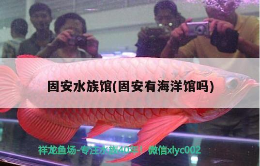 固安水族馆(固安有海洋馆吗) 观赏鱼鱼苗