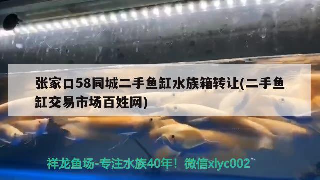 张家口58同城二手鱼缸水族箱转让(二手鱼缸交易市场百姓网) 鱼缸/水族箱