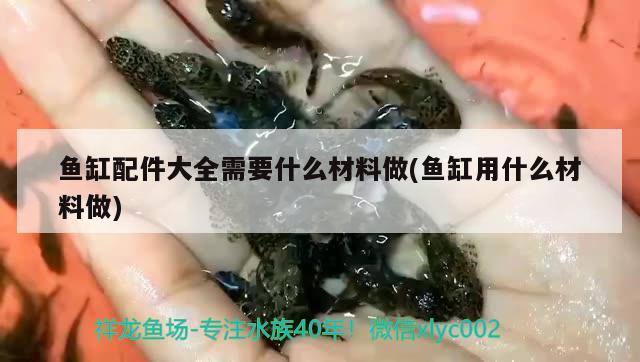 鱼缸配件大全需要什么材料做(鱼缸用什么材料做) 祥龙超血红龙鱼 第2张