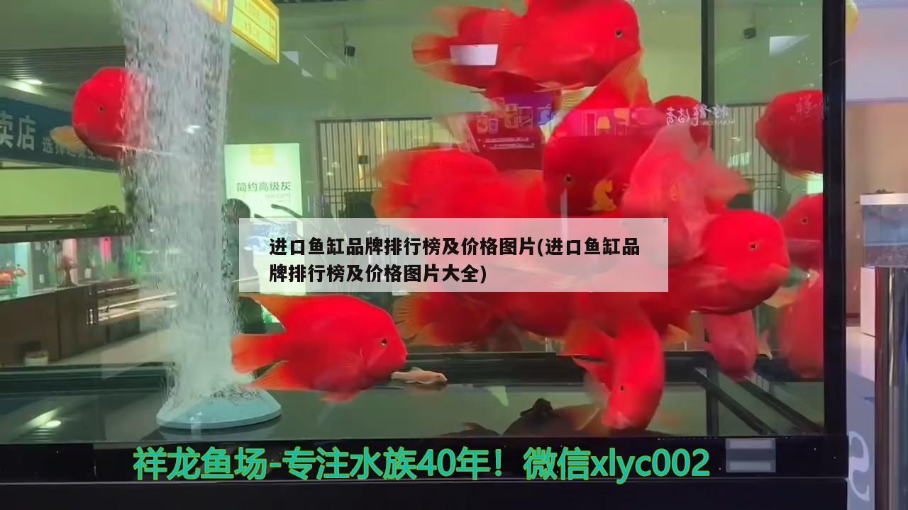 进口鱼缸品牌排行榜及价格图片(进口鱼缸品牌排行榜及价格图片大全) 福虎/异型虎鱼/纯色虎鱼 第2张