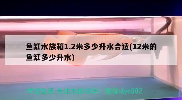 鱼缸水族箱1.2米多少升水合适(12米的鱼缸多少升水)