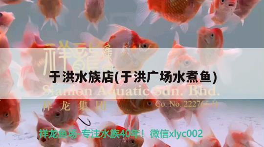 于洪水族店(于洪广场水煮鱼) 广州观赏鱼鱼苗批发市场