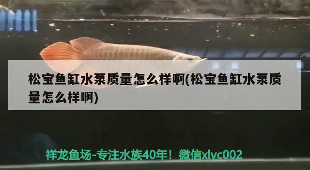 松宝鱼缸水泵质量怎么样啊(松宝鱼缸水泵质量怎么样啊)