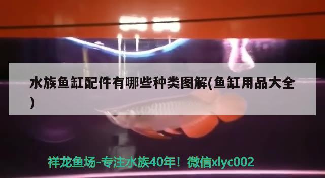 水族鱼缸配件有哪些种类图解(鱼缸用品大全) 红龙专用鱼粮饲料