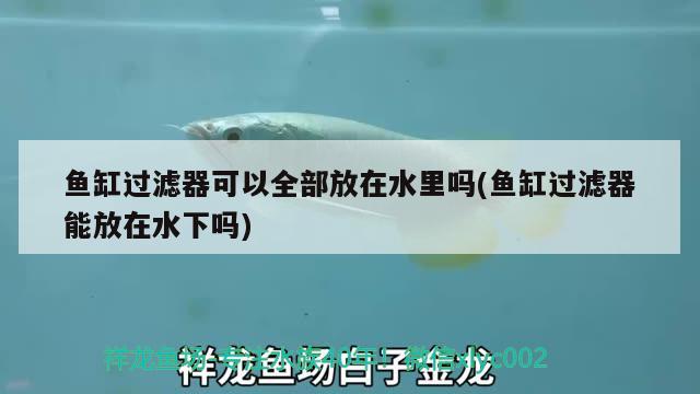 鱼缸过滤器可以全部放在水里吗(鱼缸过滤器能放在水下吗)