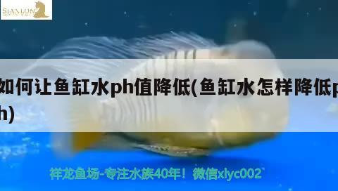 如何让鱼缸水ph值降低(鱼缸水怎样降低ph) 鱼粮鱼药