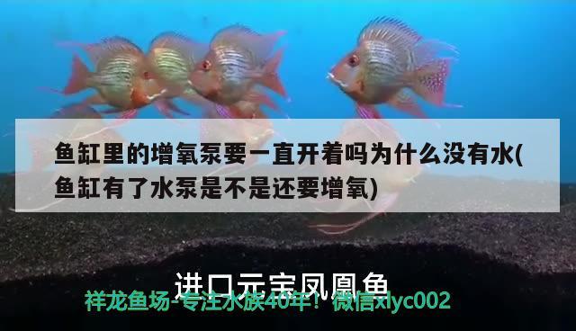 鱼缸里的增氧泵要一直开着吗为什么没有水(鱼缸有了水泵是不是还要增氧) 鱼缸百科