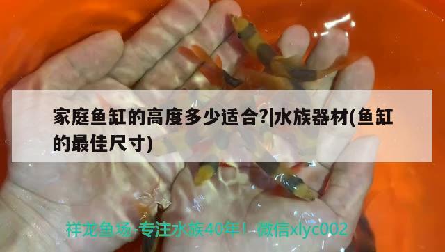 家庭鱼缸的高度多少适合?|水族器材(鱼缸的最佳尺寸)